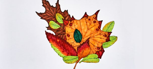 Na obrazku widać kolorowe liście w odcieniach pomarańczowych, brązowych i zielonych.