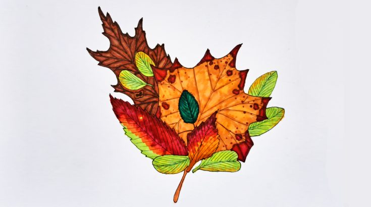 Na obrazku widać kolorowe liście w odcieniach pomarańczowych, brązowych i zielonych.